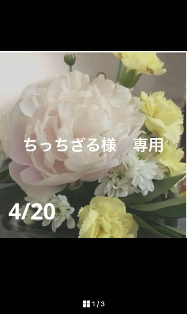 ちっちざる様　おまとめ