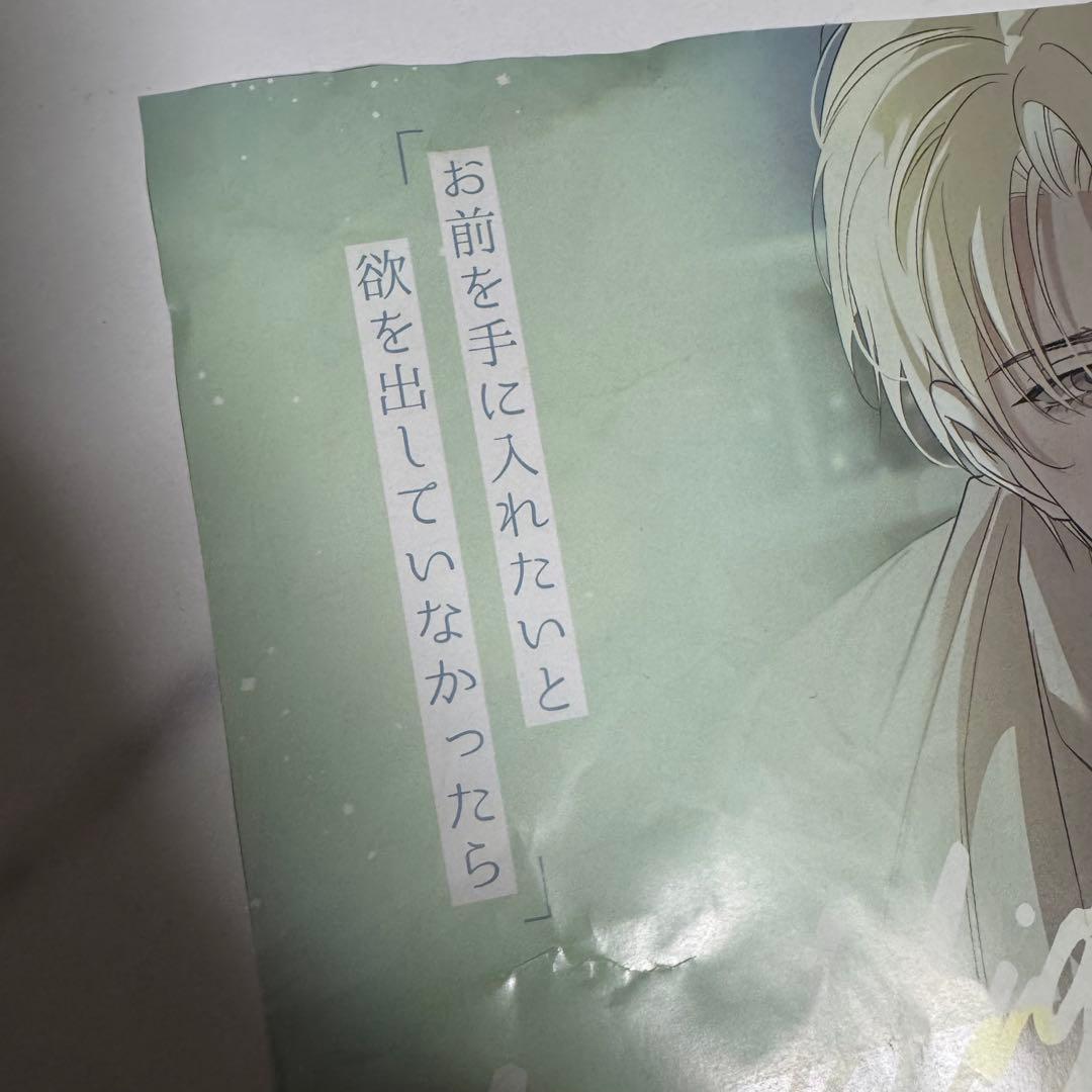 ベルトゥーン　J.GARDEN59 backlight バックライト　チラシ