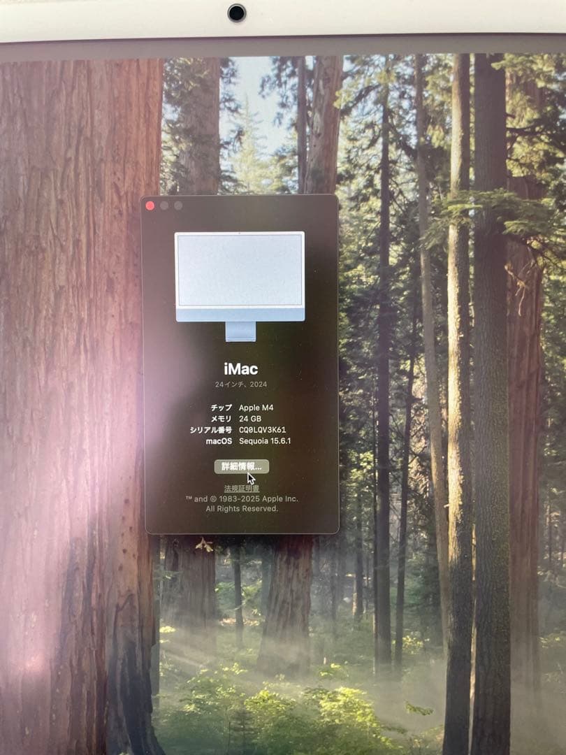 ハ*チ様 iMac 24-inch 2024M4 10コアGPU24GB SSD