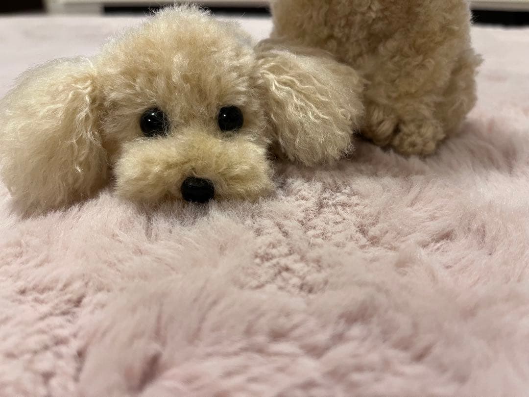 momousagi　トイプードル編みぐるみ【伏せ】【お座り】