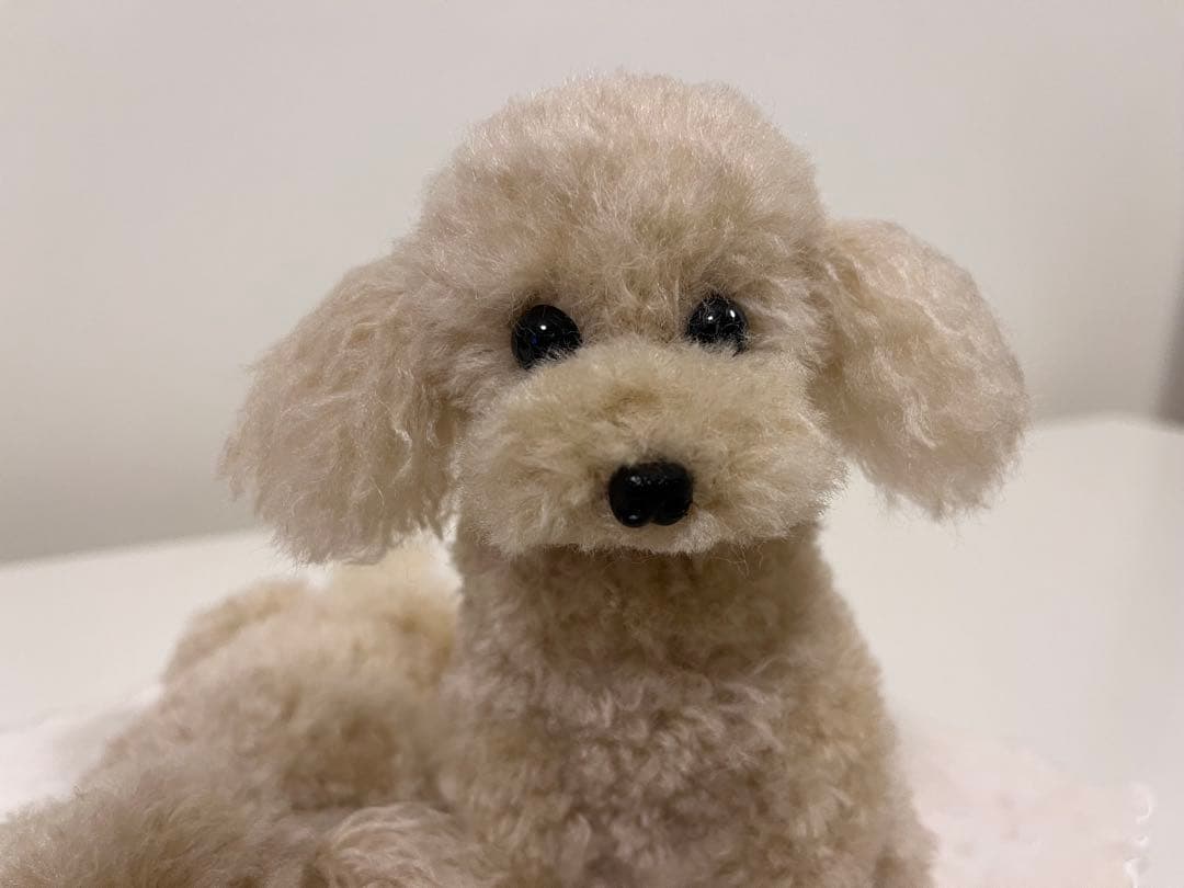 momousagi　トイプードル編みぐるみ【伏せ】【お座り】