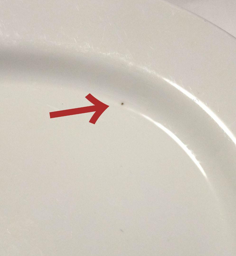 【4枚セット】イタリアンレストランで使われていたパーティー皿 オーバル楕円皿