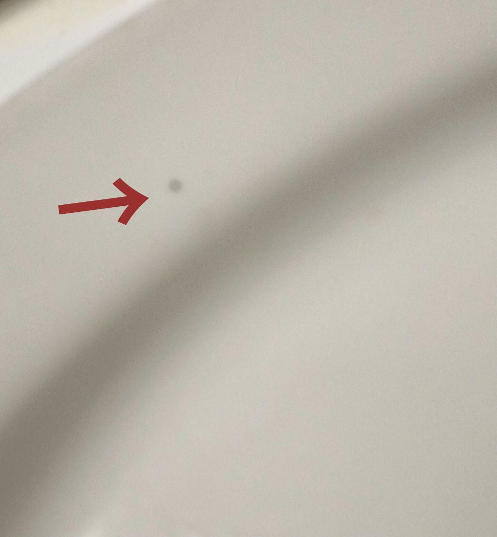 【4枚セット】イタリアンレストランで使われていたパーティー皿 オーバル楕円皿