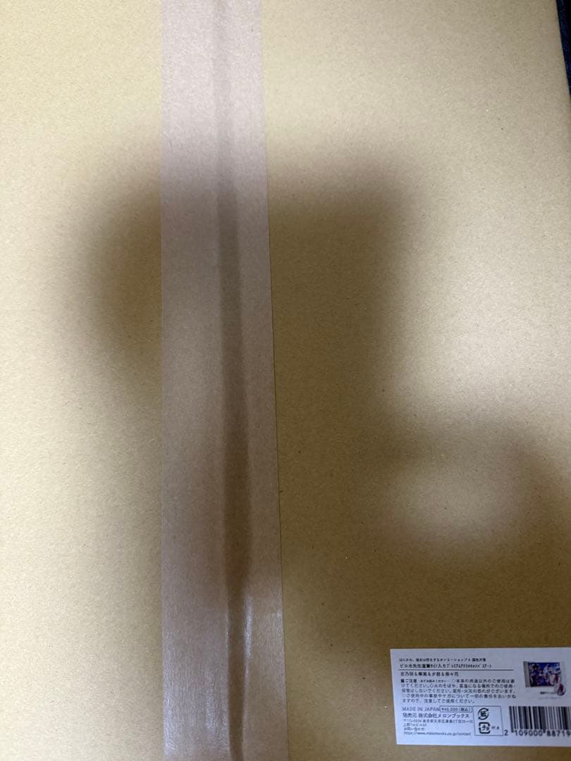 ピロ水先生直筆サイン入り　アクリルキャンバスアート 志乃羽&華実&夕那&奈々花