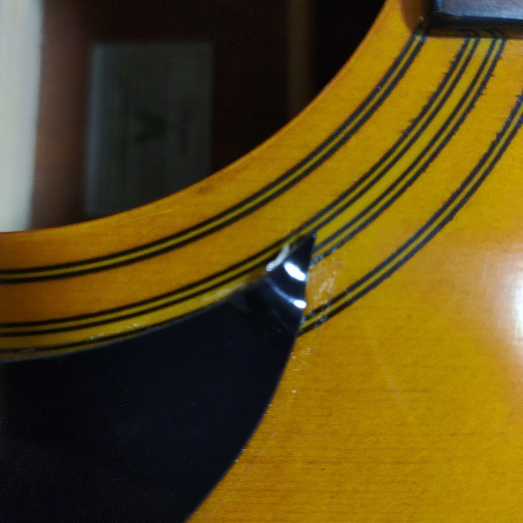 takamine(タカミネ) T-1BS ケース付き　アコースティックギター