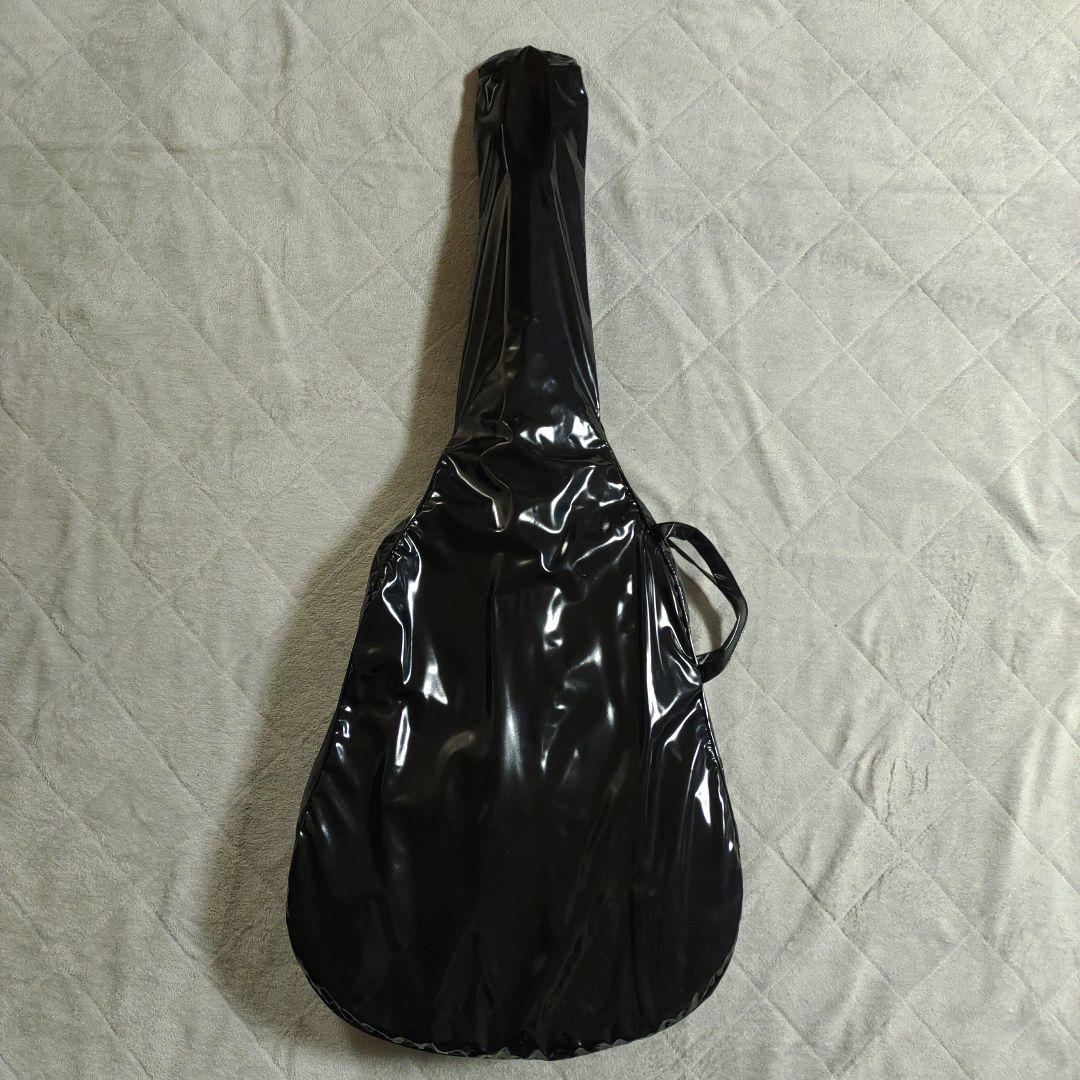 takamine(タカミネ) T-1BS ケース付き　アコースティックギター