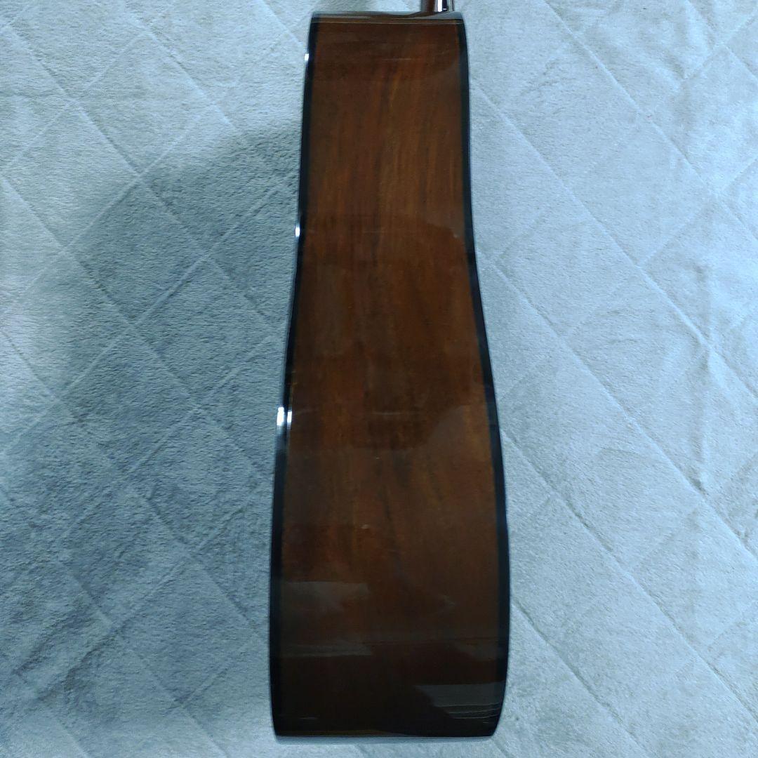 takamine(タカミネ) T-1BS ケース付き　アコースティックギター