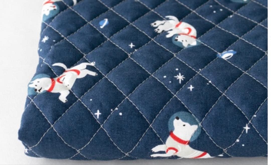 手芸キット ≪ 入園入学 グッズ 6点セット ≫スペースドッグ