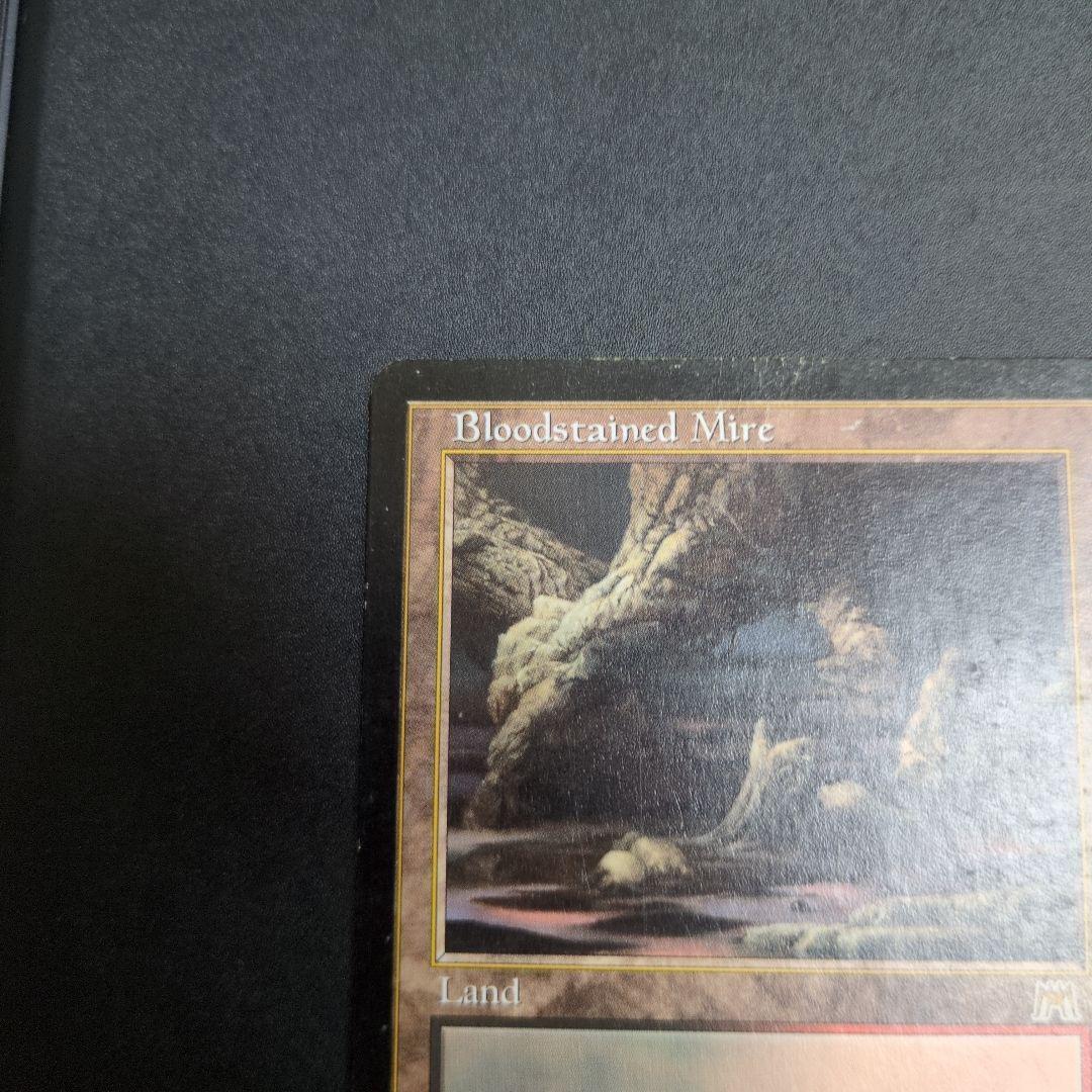 血染めのぬかるみ　サインド　英語②