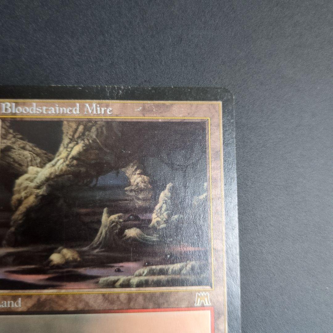 血染めのぬかるみ　サインド　英語②