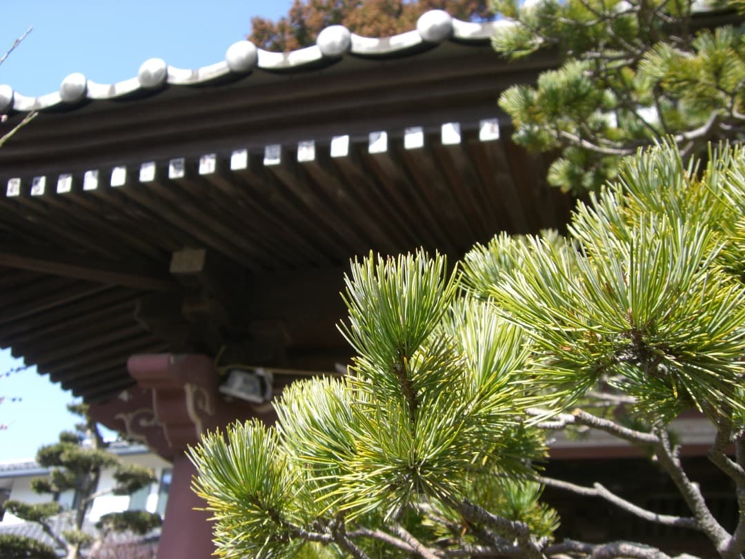 追加有り⭕️【動作確認済】CASIO カシオ EXILIM EX-Z600