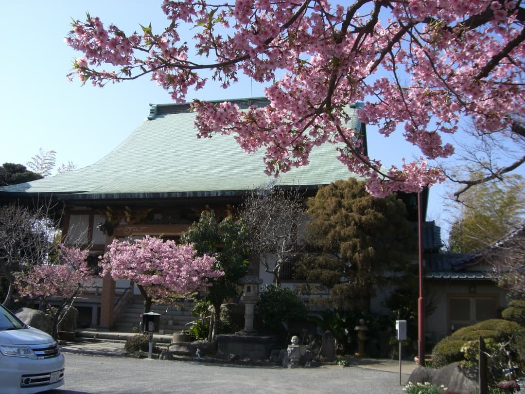 追加有り⭕️【動作確認済】CASIO カシオ EXILIM EX-Z600