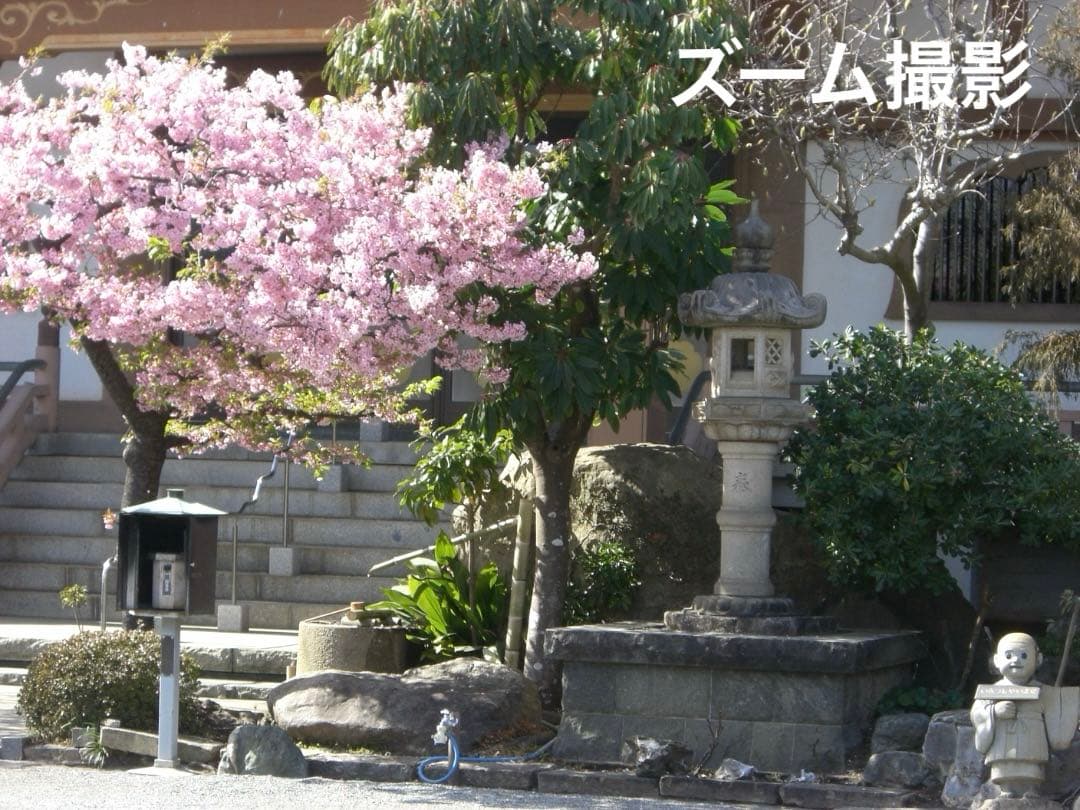 追加有り⭕️【動作確認済】CASIO カシオ EXILIM EX-Z600