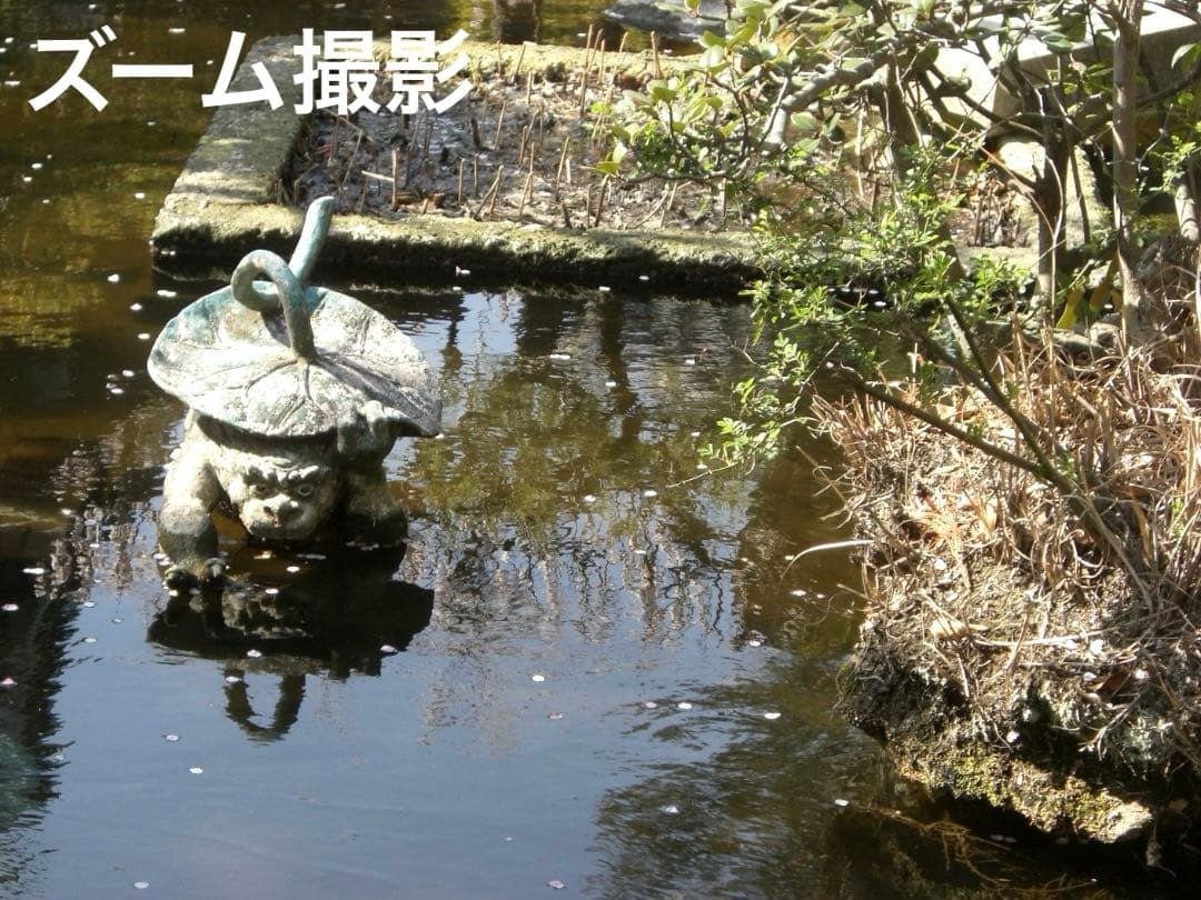 追加有り⭕️【動作確認済】CASIO カシオ EXILIM EX-Z600