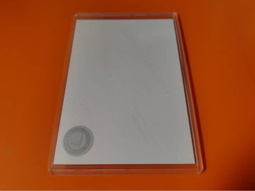 中嶋優月　櫻坂46 2025年　サンタ　ランダム生写真　直筆　ヒキ