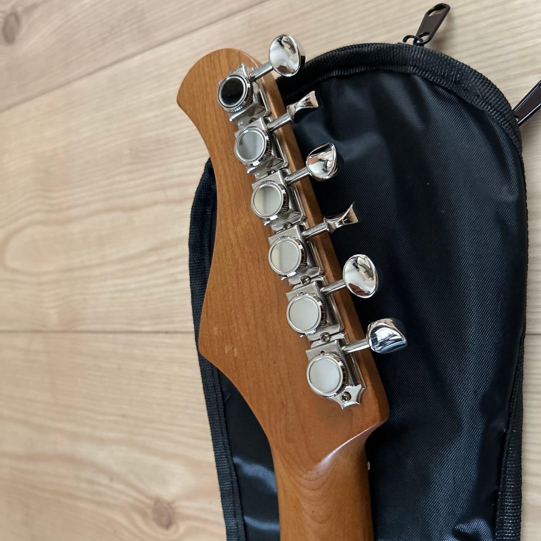 BACCHUS TAC24 STD-RSM/CAR美品