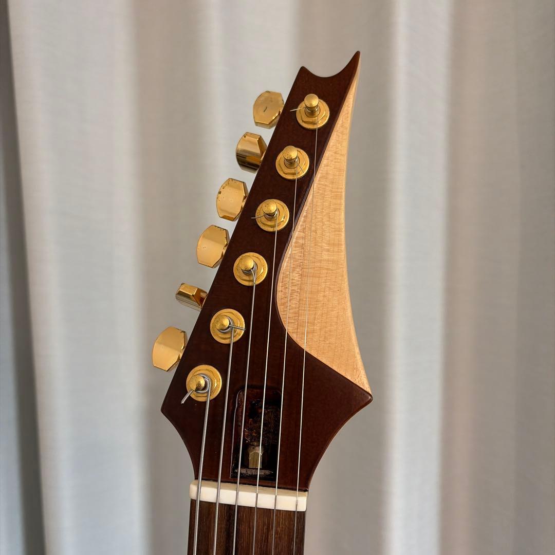 ESP系　オーダーモデル　Duncan PU搭載