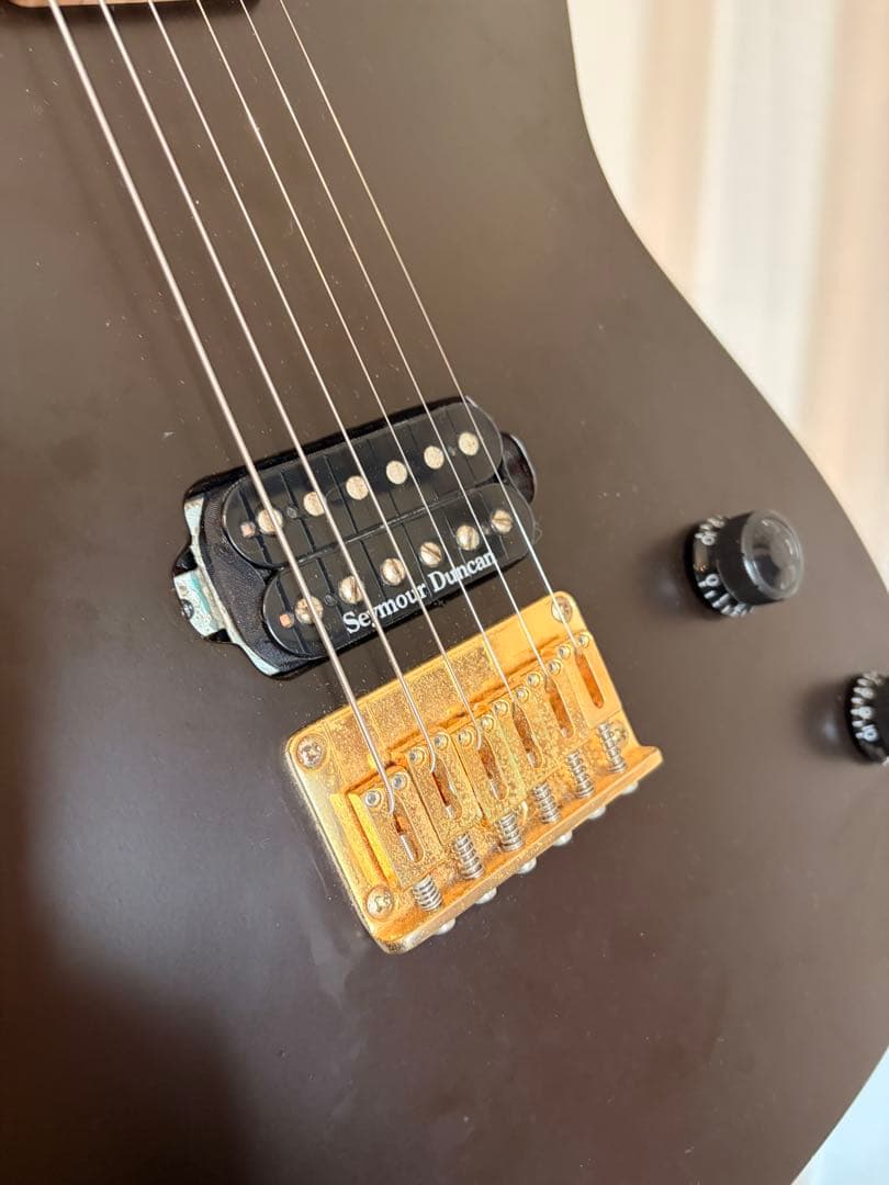 ESP系　オーダーモデル　Duncan PU搭載
