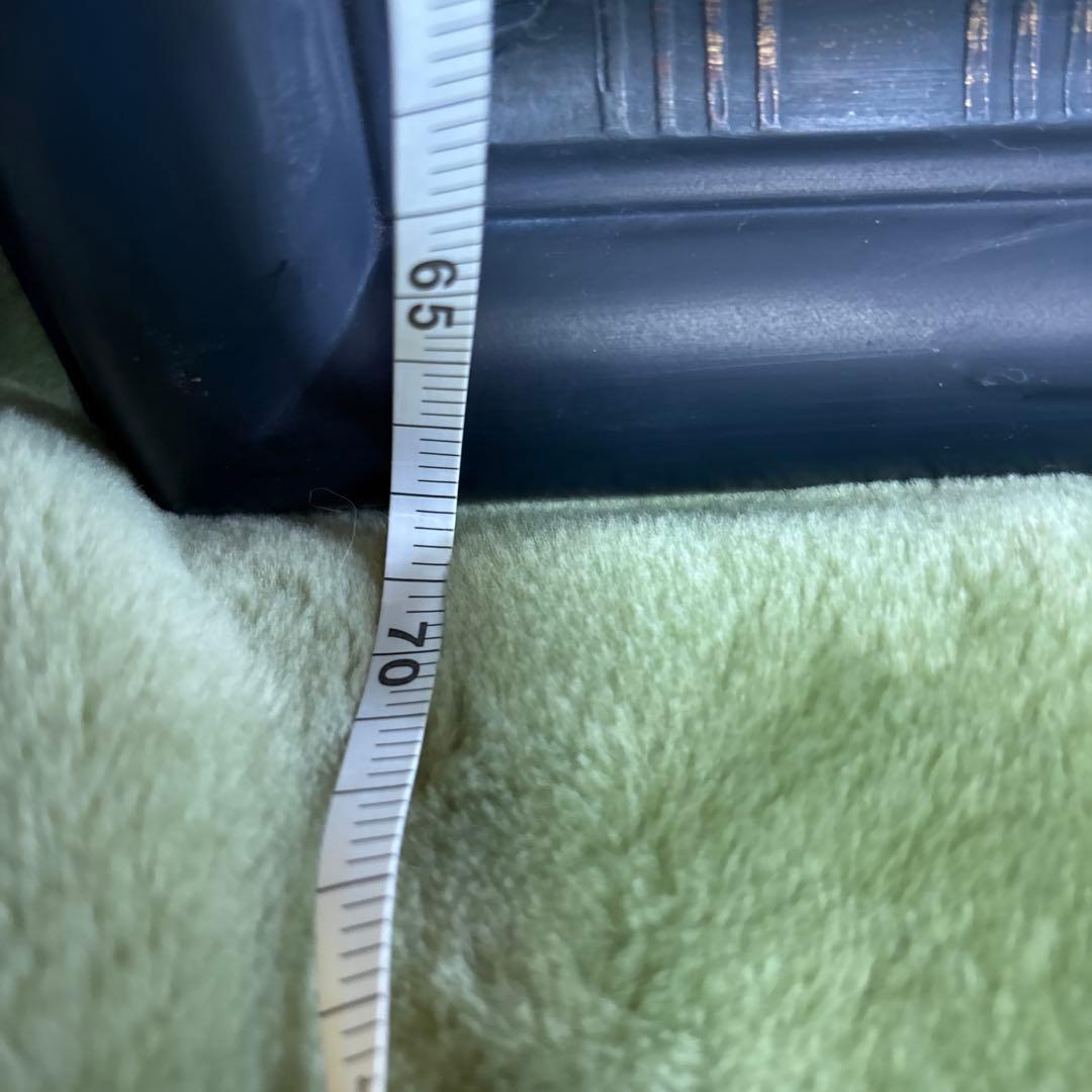 静物画　ザクロとドライフラワー