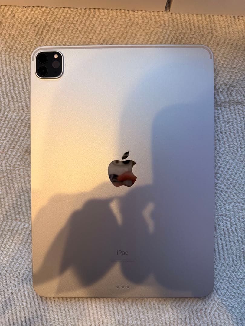 ipad pro 11インチ (第3世代) シルバー 付属品多数！