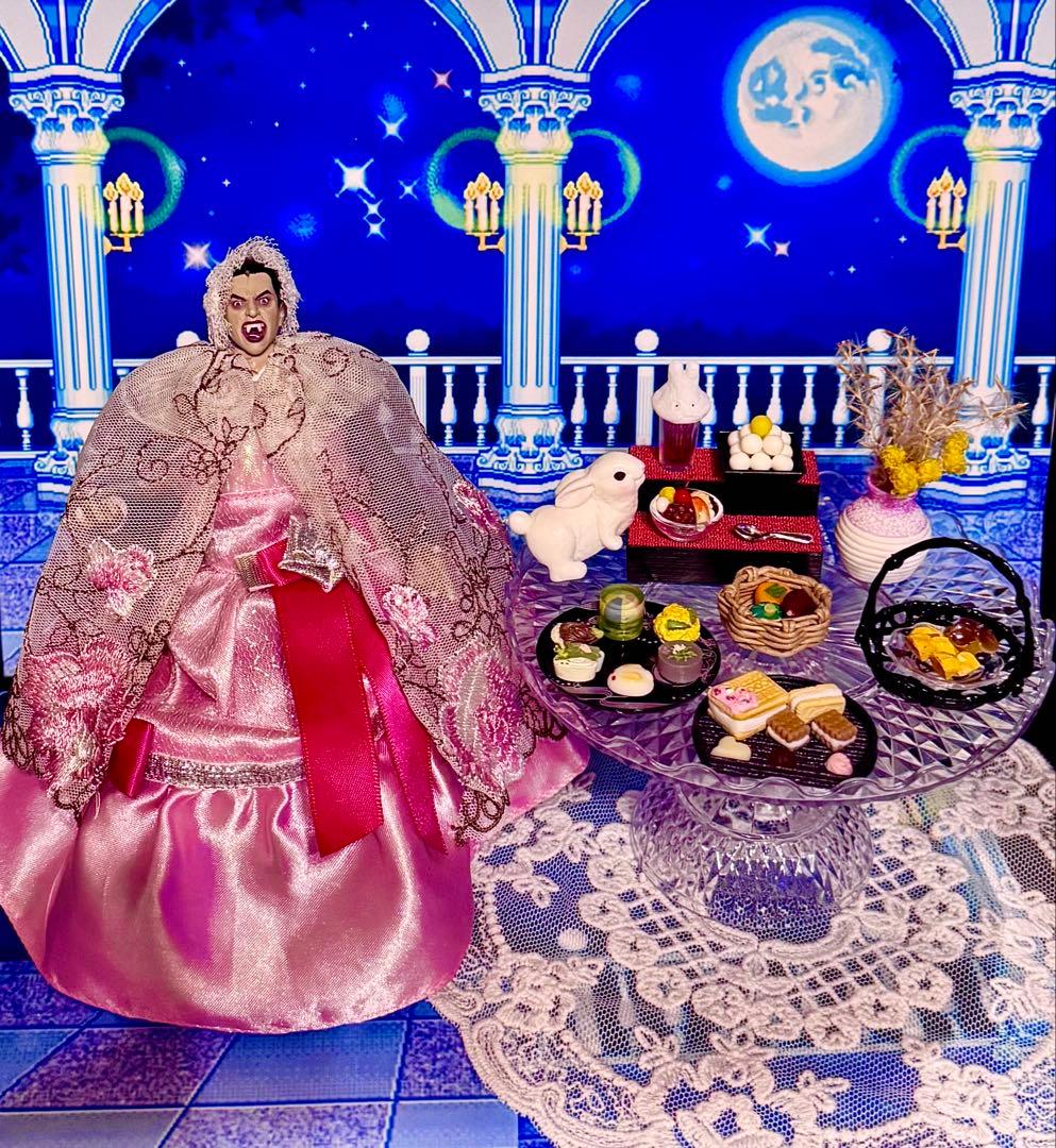 V 5枚１セット A4サイズの写真用光沢紙にてコピーします。