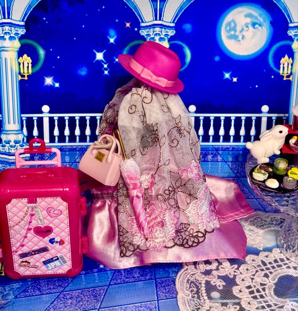 V 5枚１セット A4サイズの写真用光沢紙にてコピーします。