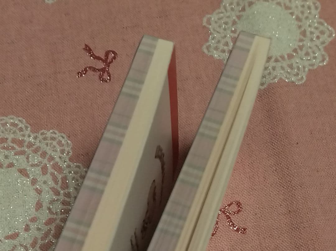 キキララ　桐谷美玲　ミニメモ　同じもの　２点セット　当時