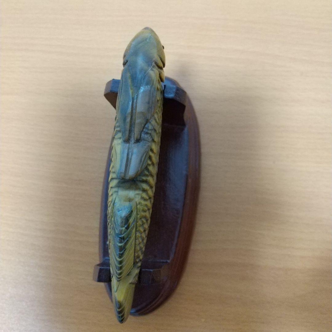 タイガーアイ アロワナ