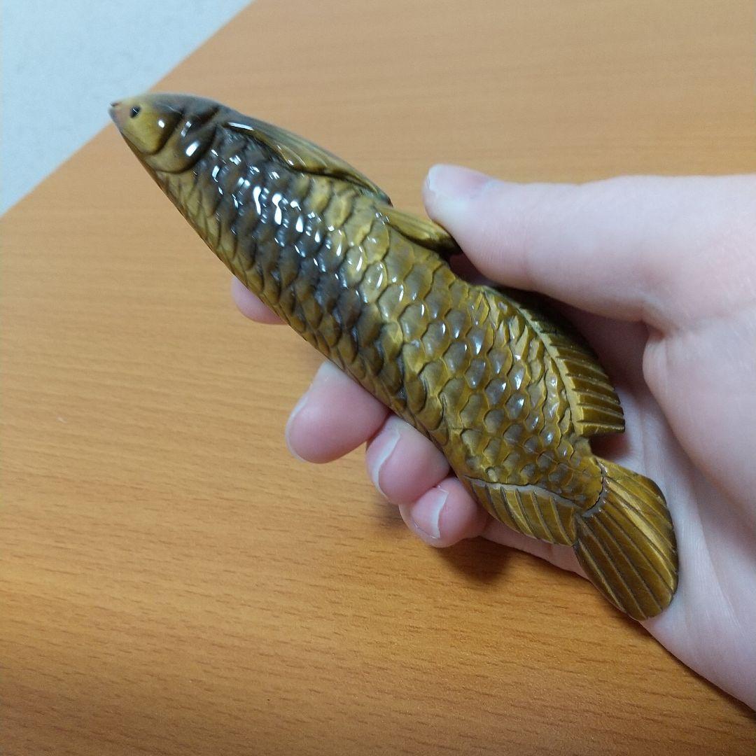 タイガーアイ アロワナ