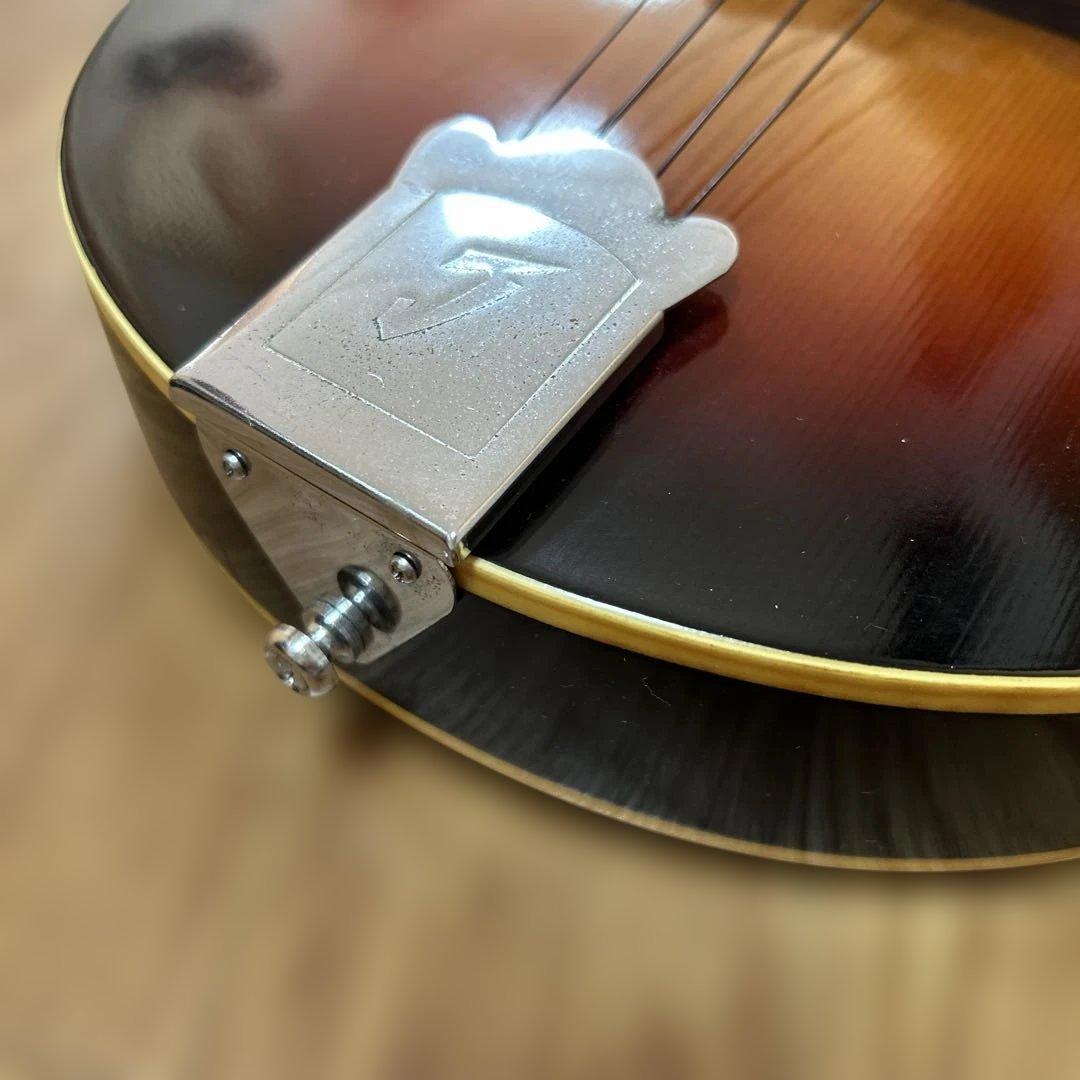 jumbo フラットマンドリン　ritterソフトケース付き　ウクレレ