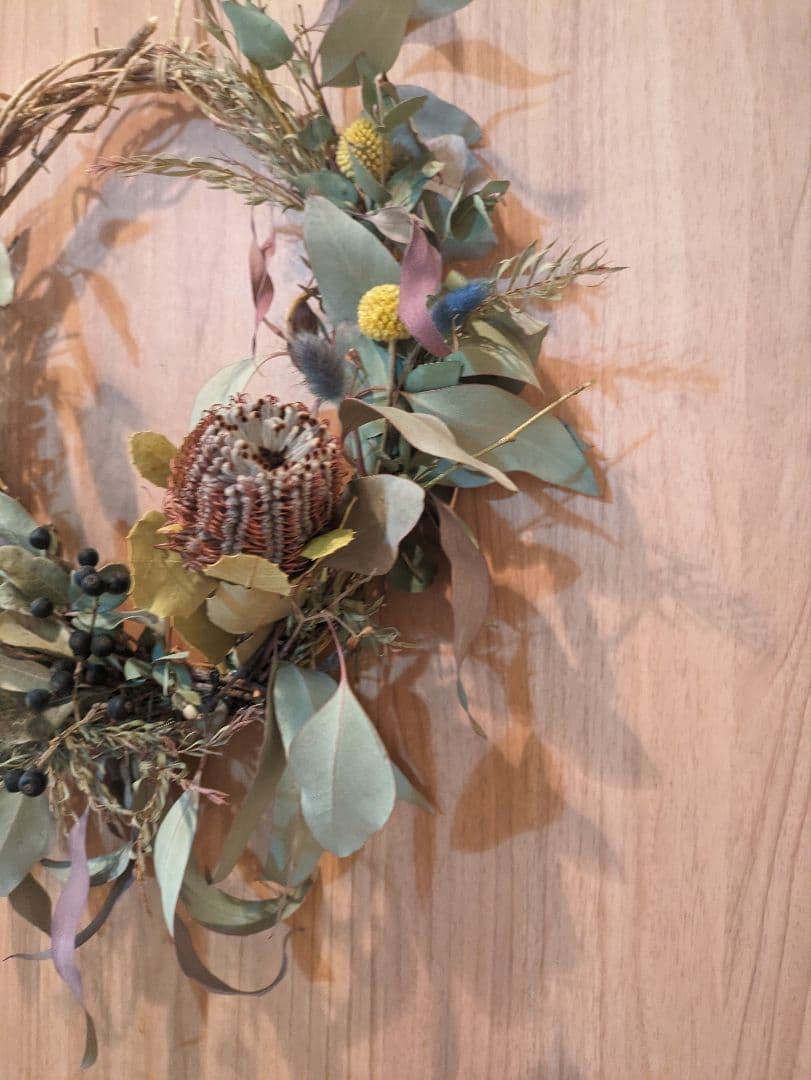 ドライフラワー★大きめネイティブバンクシアリース　プルモーサム　グラスペディア