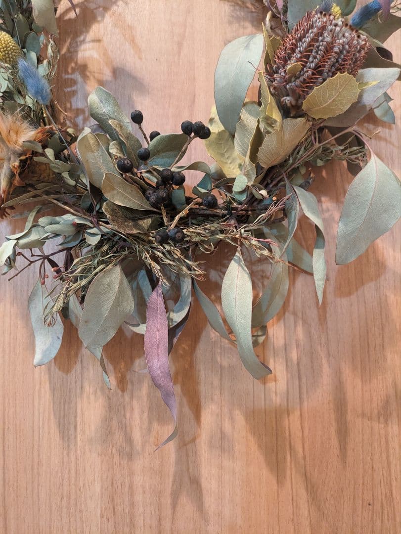 ドライフラワー★大きめネイティブバンクシアリース　プルモーサム　グラスペディア