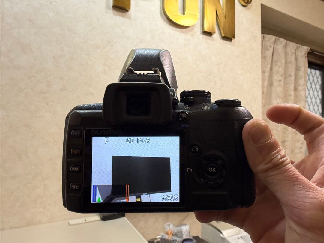 OLYMPUS E-420 メモリー2gbデジタルカメラ