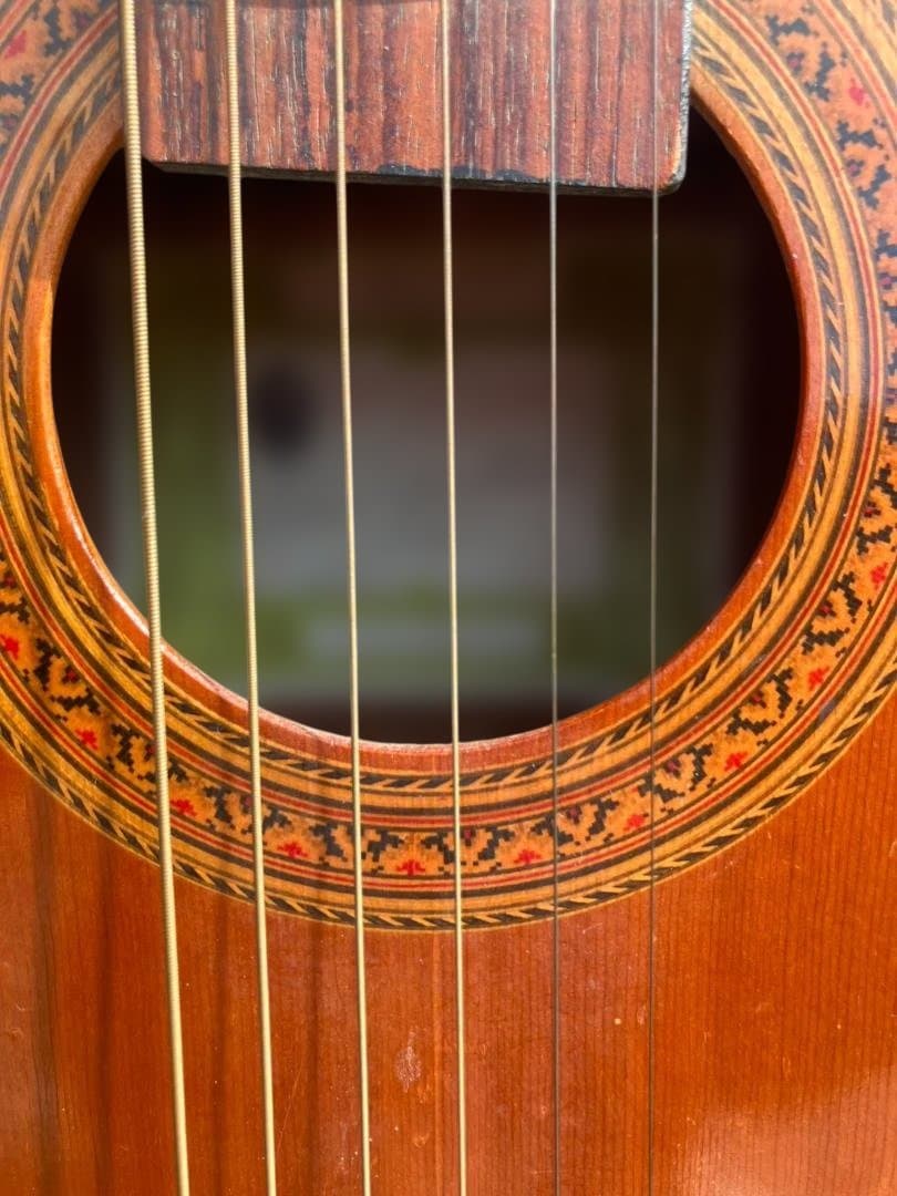 Calace Guitar 黒いケース付き クリーニング済み