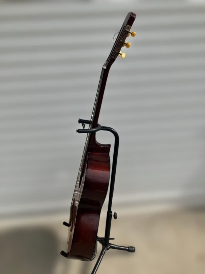 Calace Guitar 黒いケース付き クリーニング済み