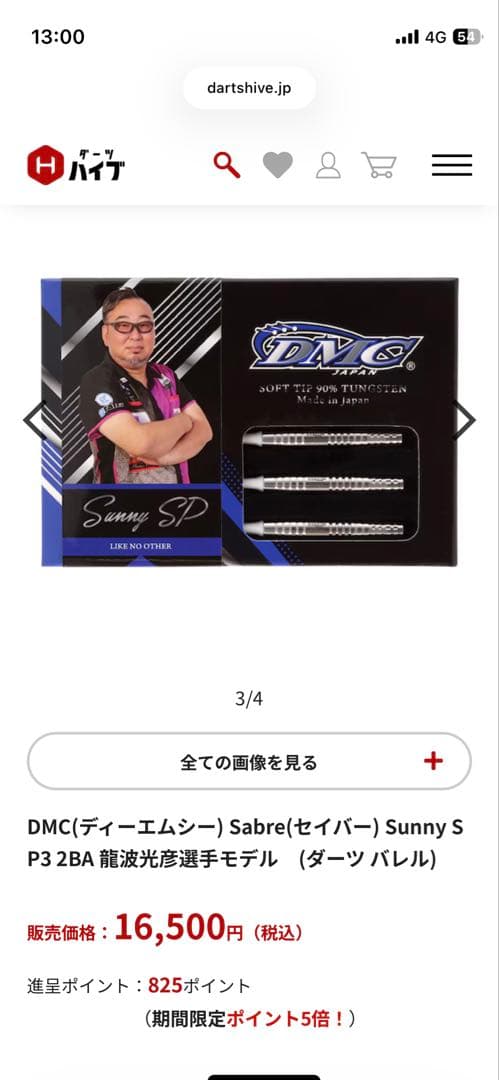 DMC Sabre Sunny SP3 龍波 光彦 モデル