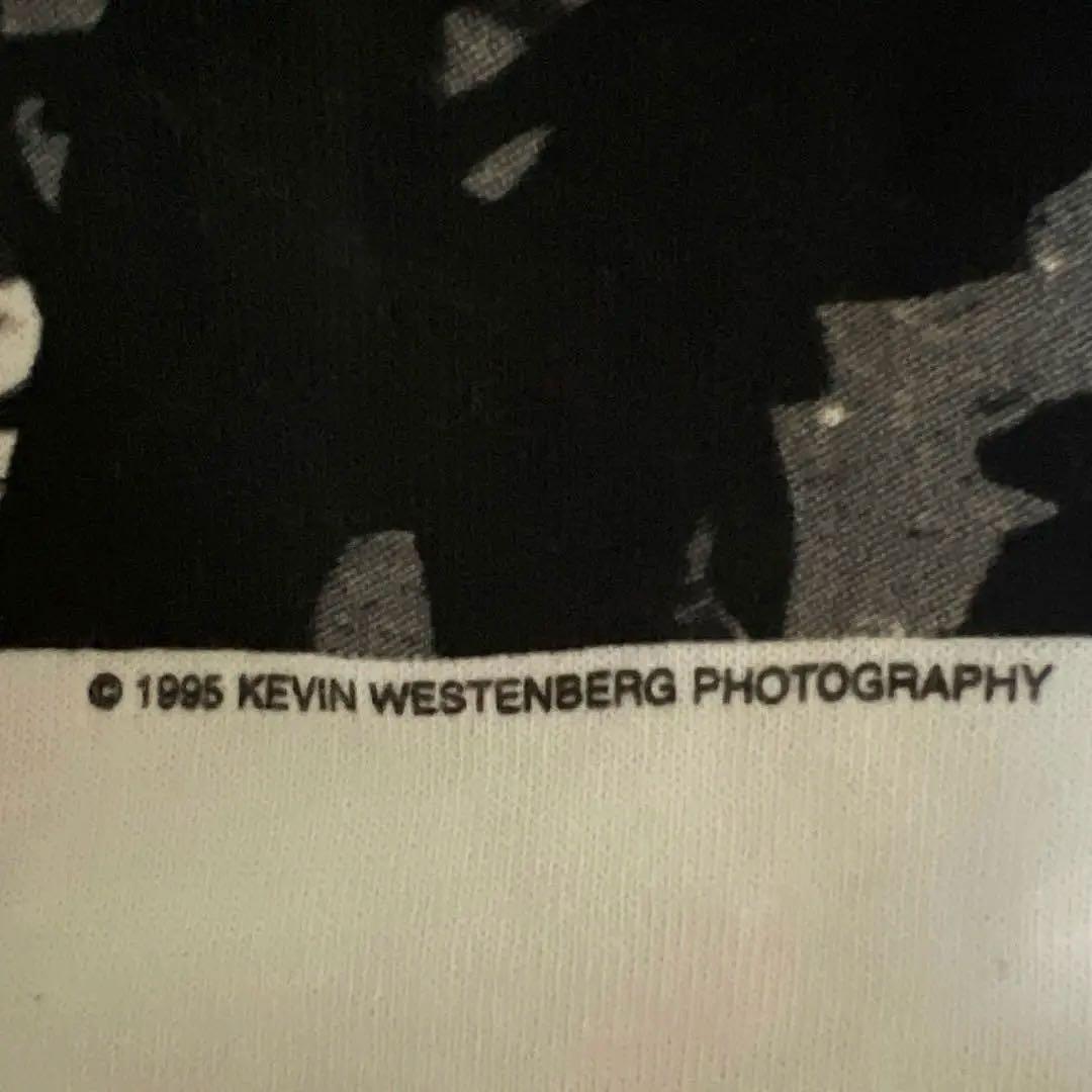 BUSH グラフィック Tシャツ ホワイト