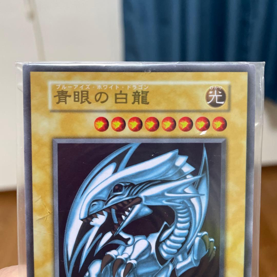 青眼の白龍　ステンレス