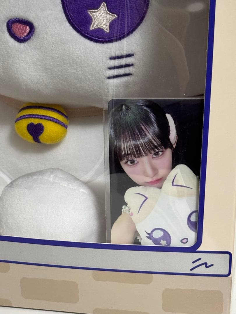 飯田栞月 ツキ おすわりミャイズぬいぐるみ トレカ
