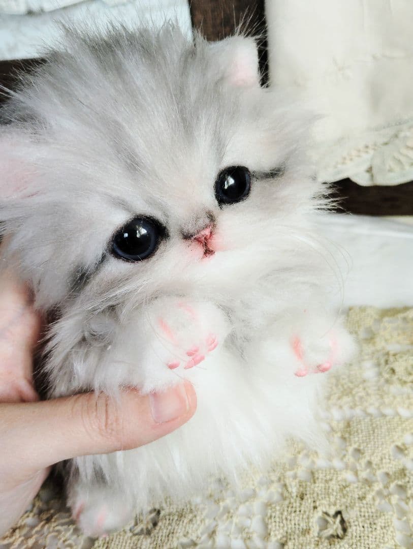 ミヌエット子猫♡ひなちゃん♡アートドール♡ぬいぐるみ♡