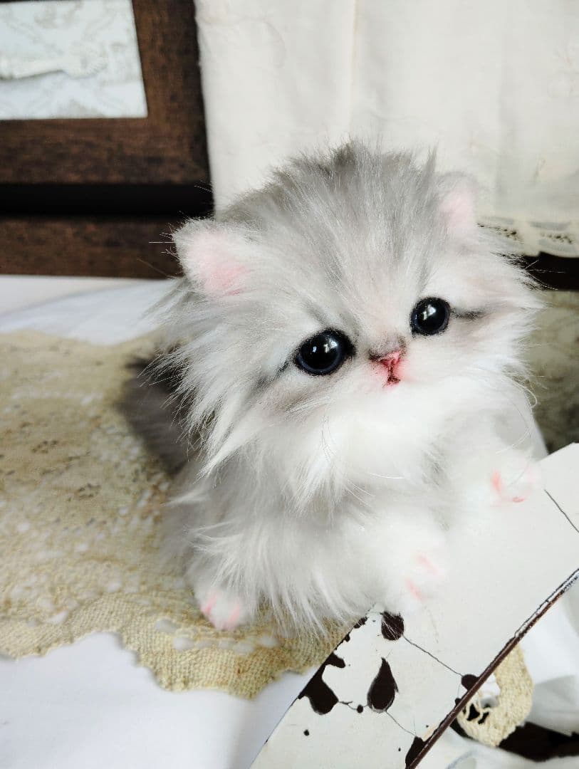 ミヌエット子猫♡ひなちゃん♡アートドール♡ぬいぐるみ♡