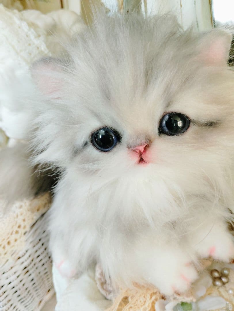 ミヌエット子猫♡ひなちゃん♡アートドール♡ぬいぐるみ♡