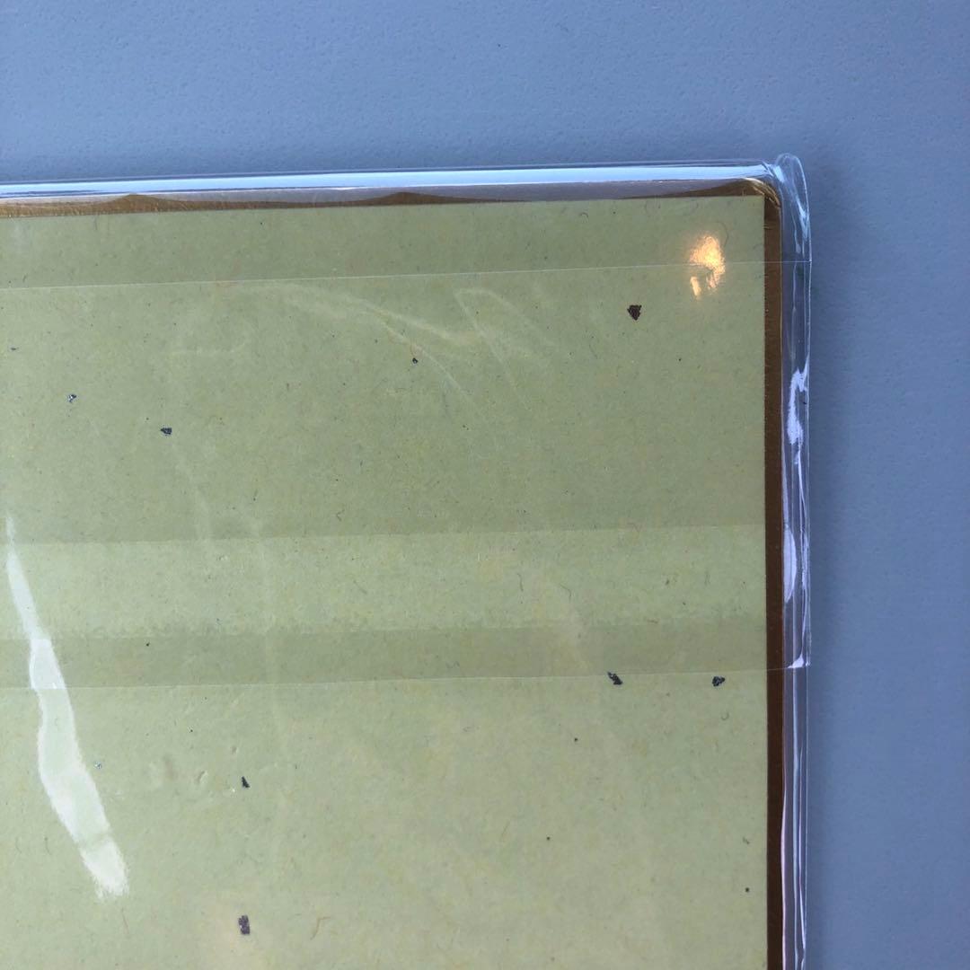 Vtuber 飯田ぽち。 3D化記念グッズ　直筆サイン色紙 メロンブックス