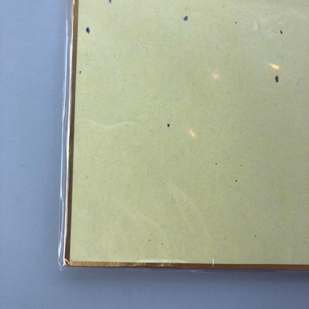 Vtuber 飯田ぽち。 3D化記念グッズ　直筆サイン色紙 メロンブックス