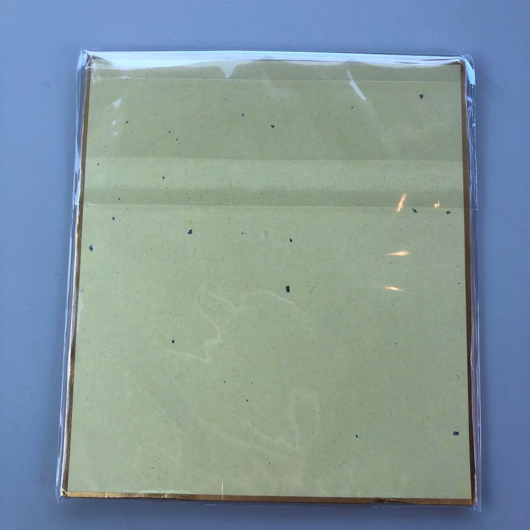 Vtuber 飯田ぽち。 3D化記念グッズ　直筆サイン色紙 メロンブックス