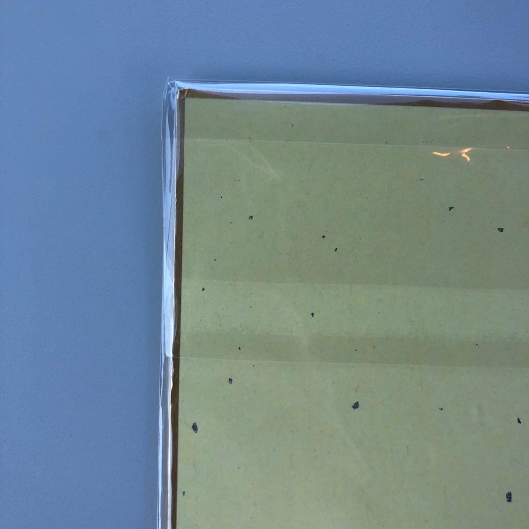 Vtuber 飯田ぽち。 3D化記念グッズ　直筆サイン色紙 メロンブックス