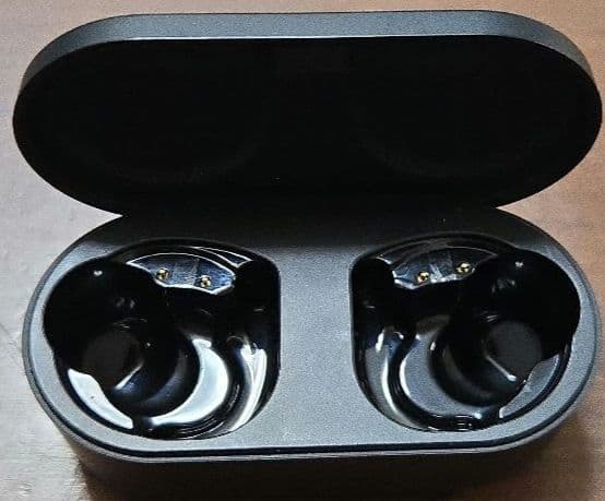 【最終値下げ】Denon PerL Pro 【付属品未使用】
