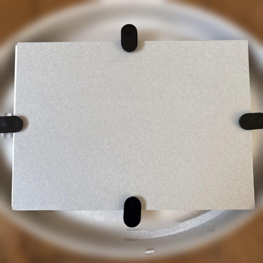 Disneyシルエットスタジオ　アナと雪の女王