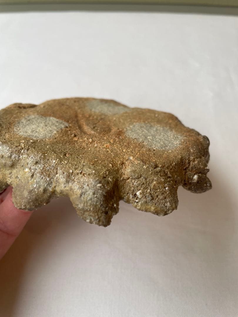 國吉清尚 作　白土　小皿