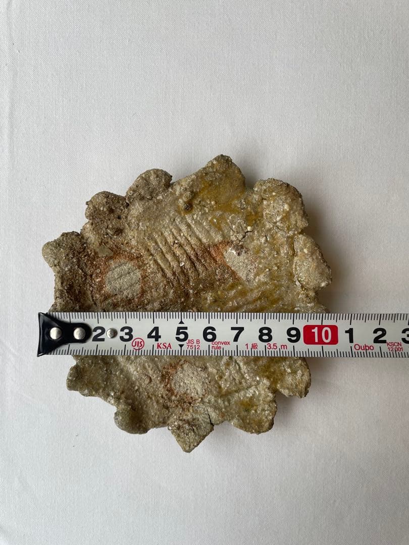 國吉清尚 作　白土　小皿